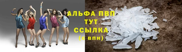 спиды Абаза