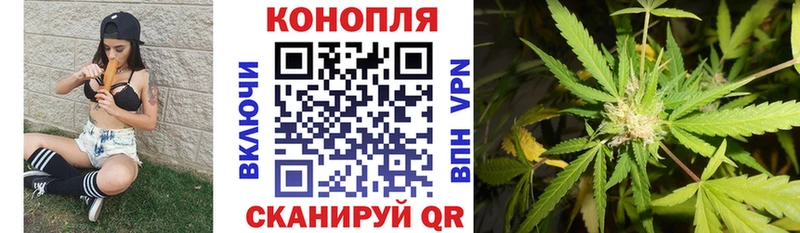 Шишки марихуана сатива Ессентукская